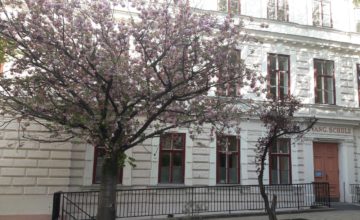 Frühlingsgruß: Unser Schulsonntag am 14.03. um 10 Uhr