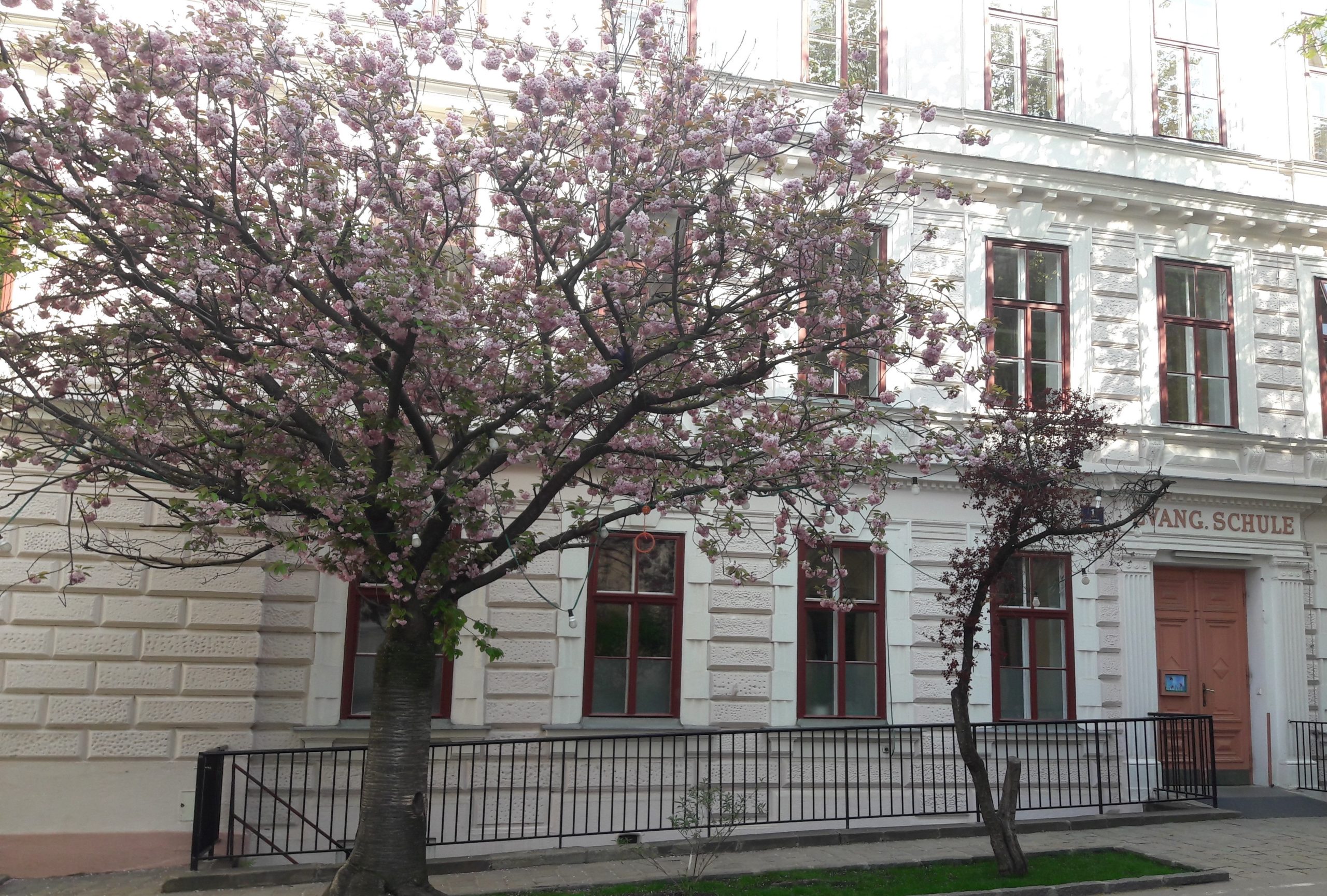 Frühlingsgruß: Unser Schulsonntag am 14.03. um 10 Uhr Wir wollen diesen besonderen Frühling feiern!